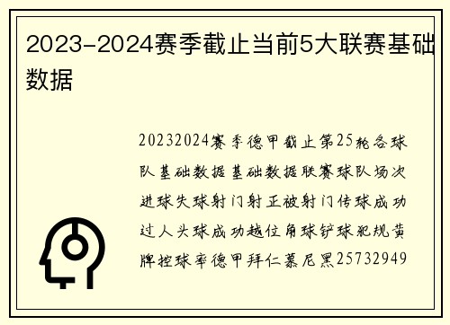 2023-2024赛季截止当前5大联赛基础数据